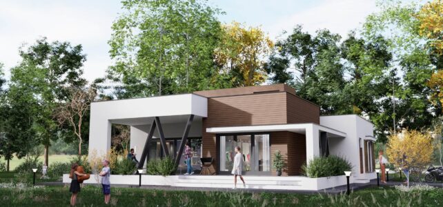 How Much Does an Architect Cost for an Extension in London 3D house sketch using architect software